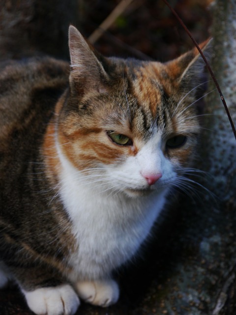 Elizabeth Jones tweet media