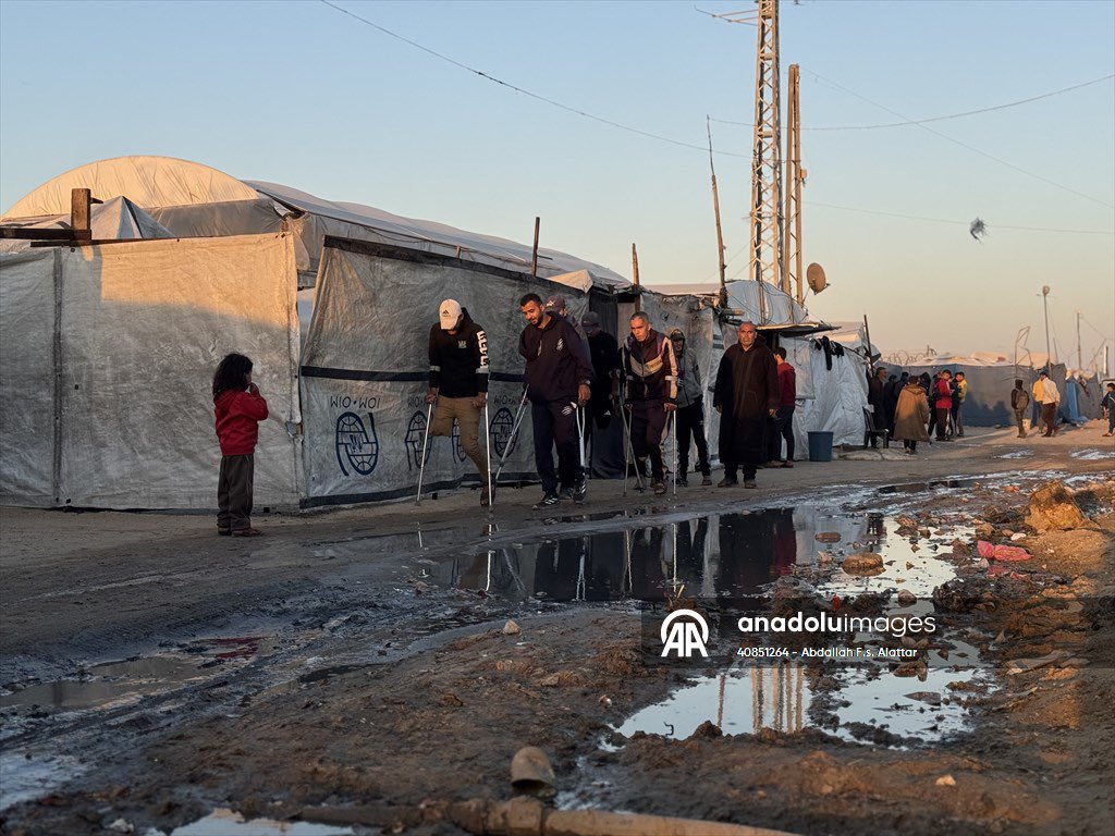 عبدالله العطار abdallah alattar tweet media