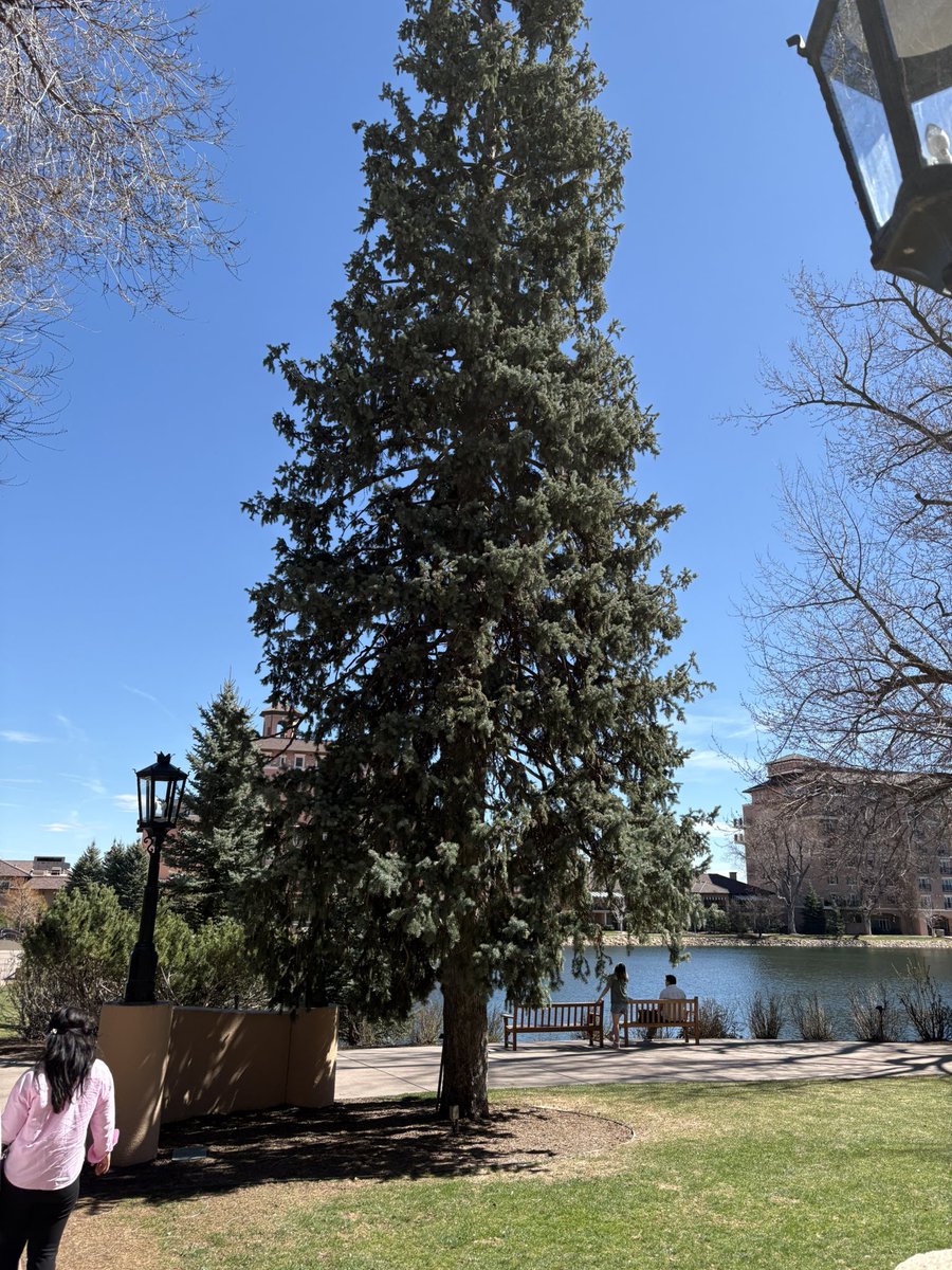 Ron Sovereignty Swanson⚡️🗝️ tweet media