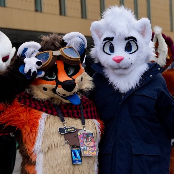 Archie 🦊 tweet media