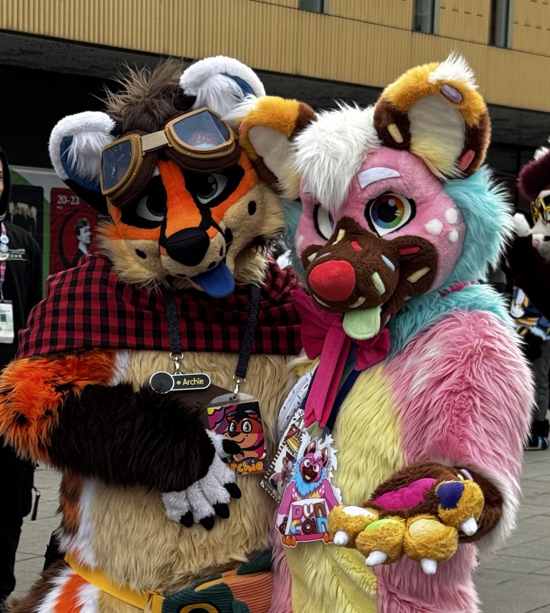 Archie 🦊 tweet media