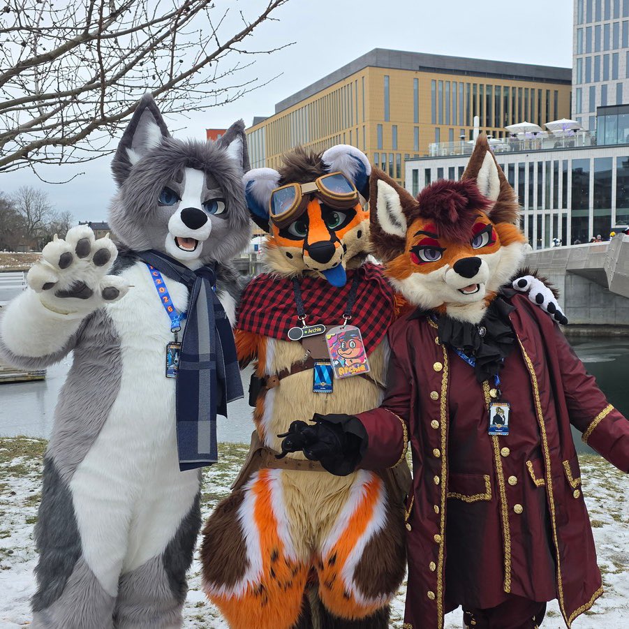 Archie 🦊 tweet media