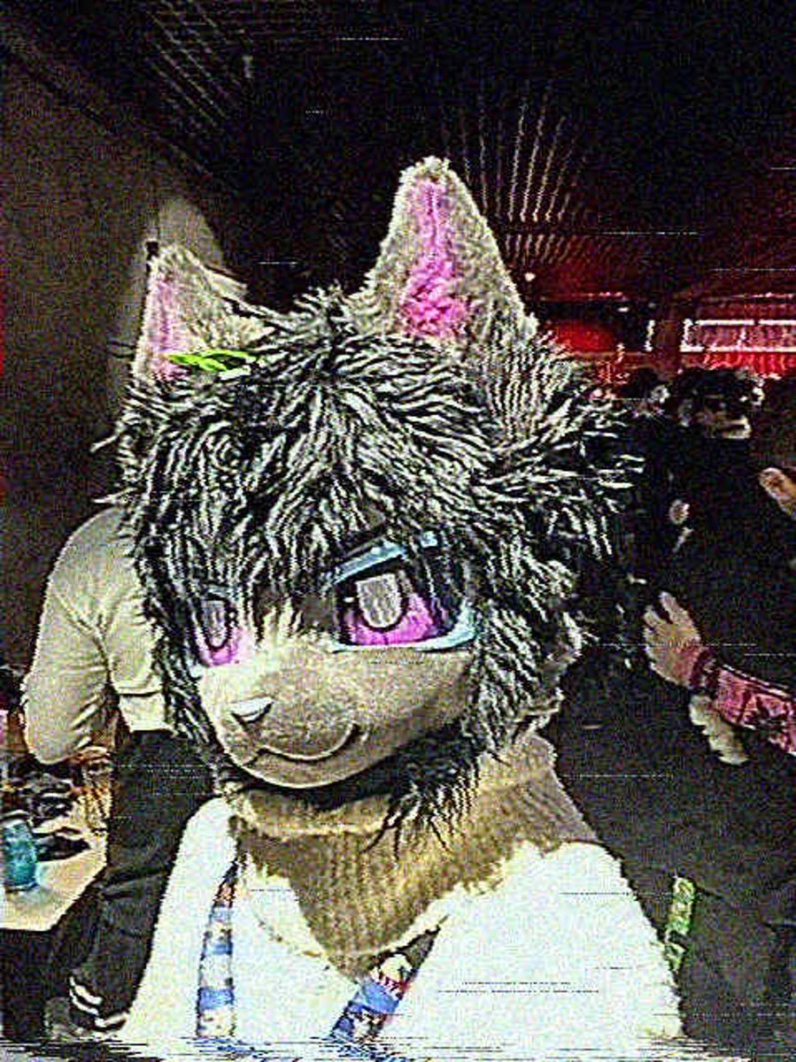 EigoBani tweet media