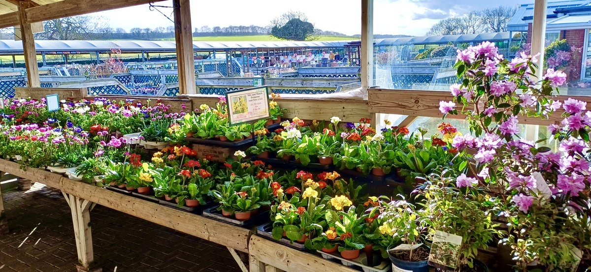 Dan Close CCTV & Fire tweet media