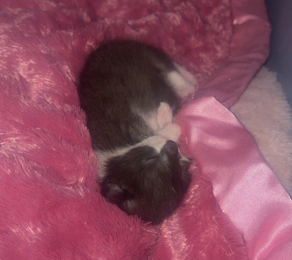 𝐤𝐚𝐲𝐥𝐚♡ tweet media