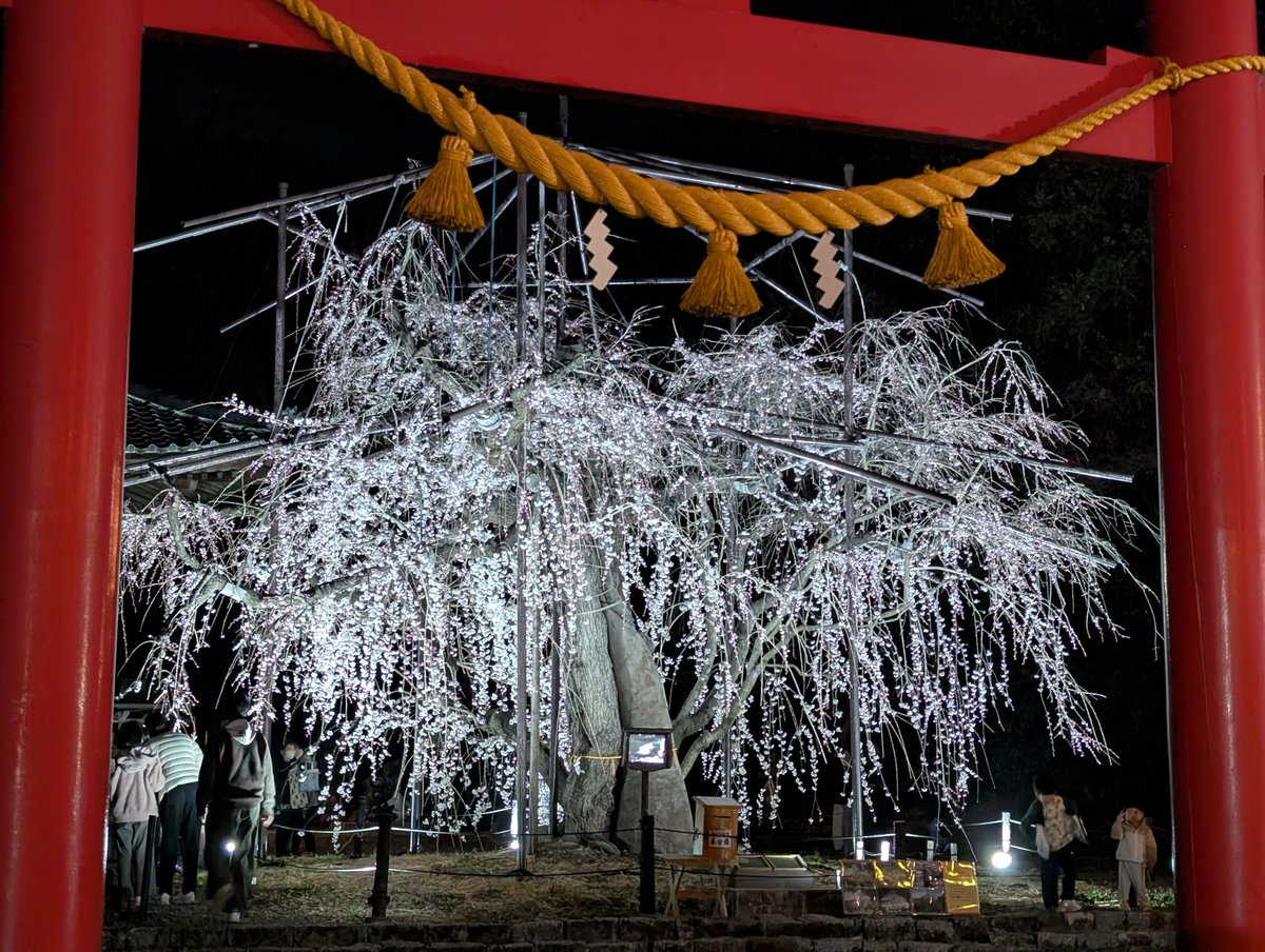 豊橋市長坂なおと tweet media