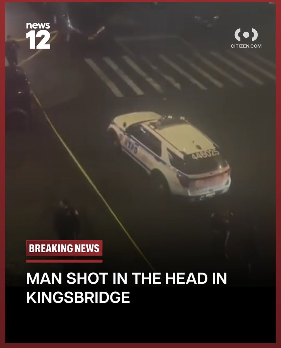 TheSalGreco tweet media