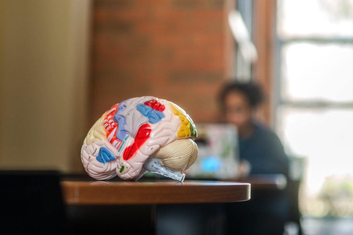 Methodist University tweet media