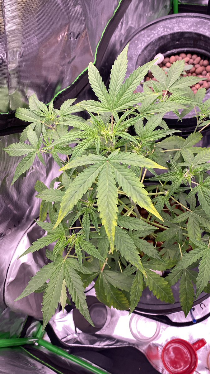 KyssMiA55 tweet media