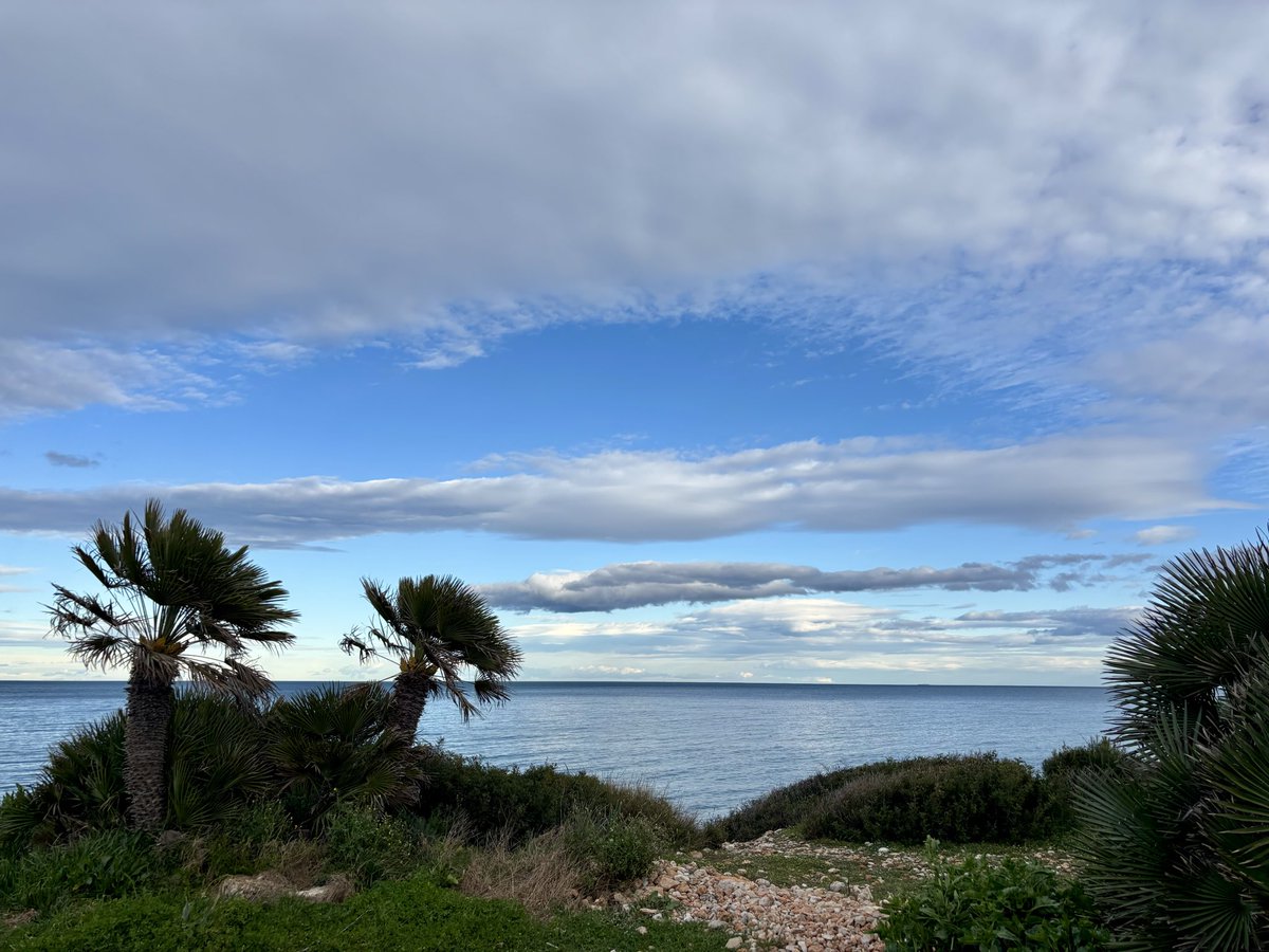 Pere Calonge tweet media