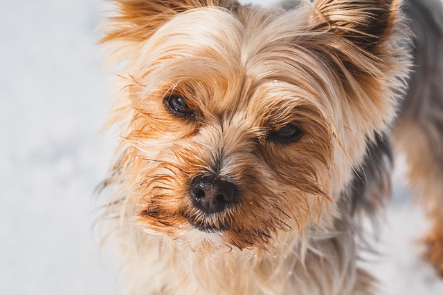 April Gordon tweet media