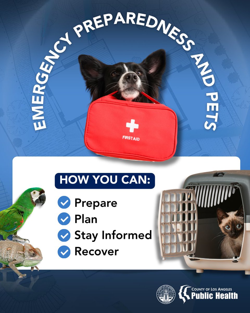 LA Public Health tweet media