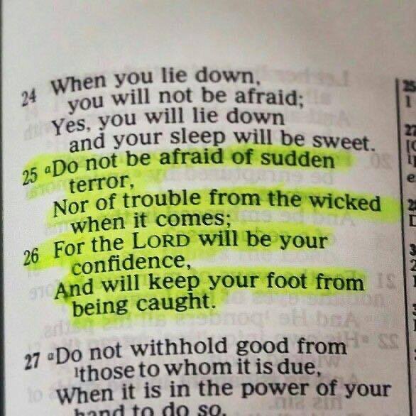 Coach Alex Mathis tweet media