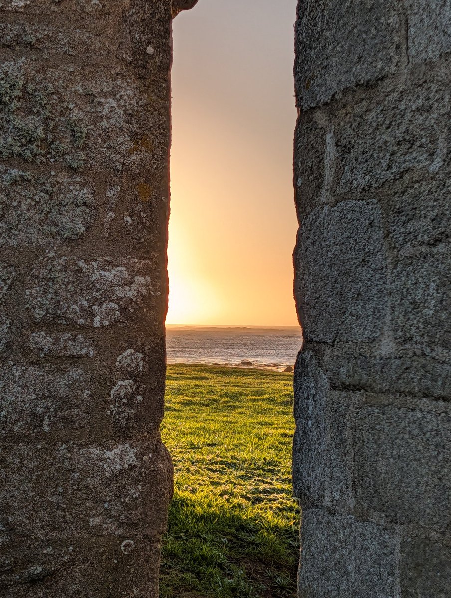 Xray_breizh tweet media