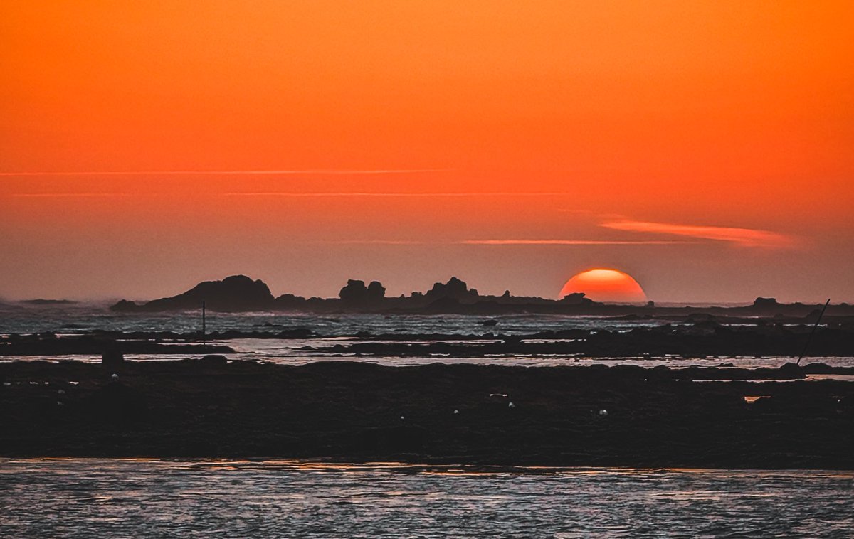 Xray_breizh tweet media