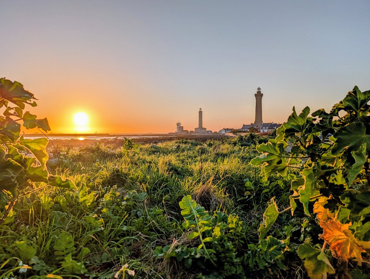 Xray_breizh tweet media