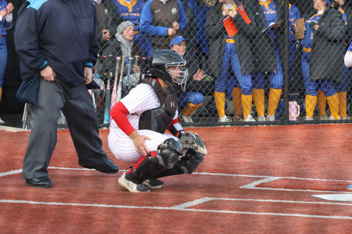 Saint Francis Softball tweet media