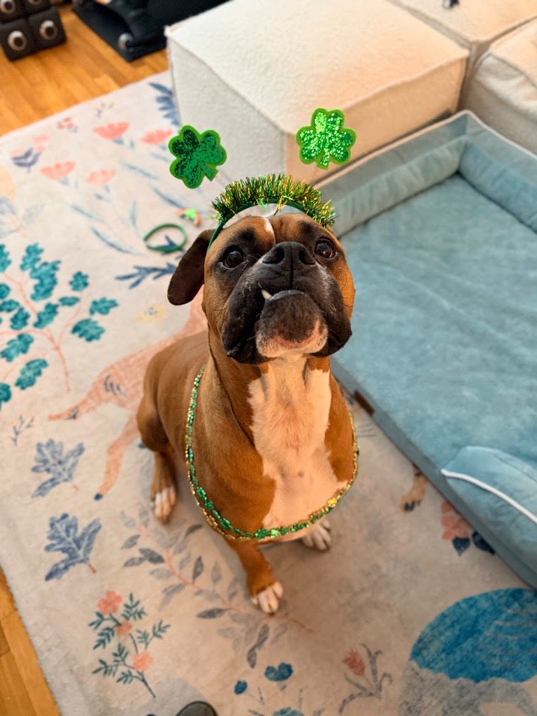 michael_frazier tweet media