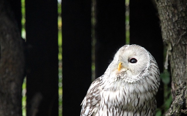 くれあ@毎月30万円積立×副業コミュニティ運営 @crea3244 tweet media