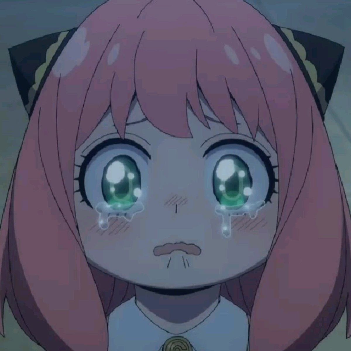 น้อง หนาว ⛄️ tweet media