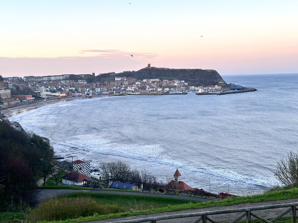 The Hutch Runs tweet media