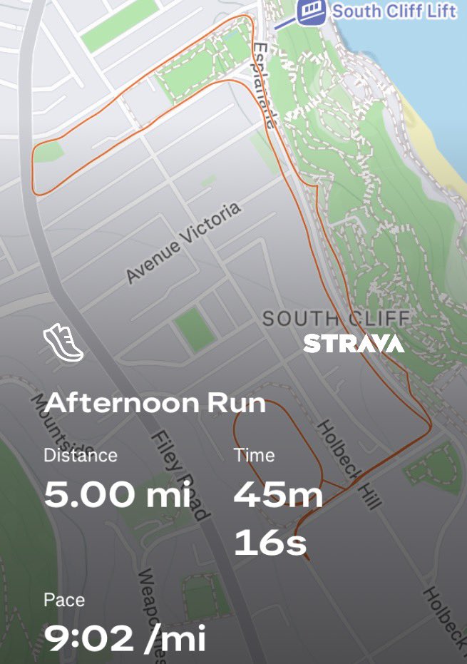 The Hutch Runs tweet media