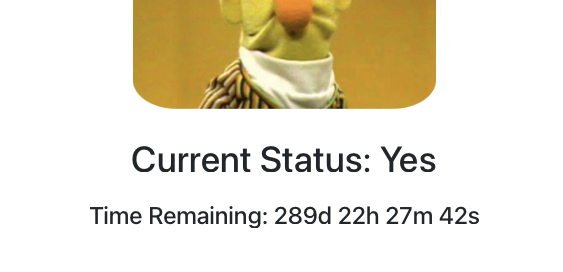 Sasha Rush tweet media