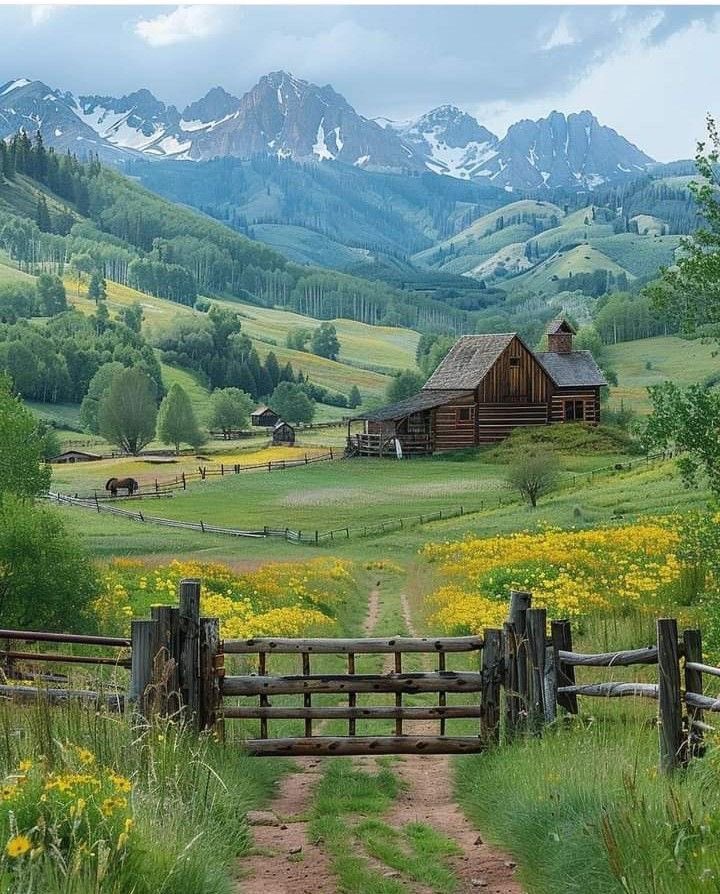 Purely Green tweet media