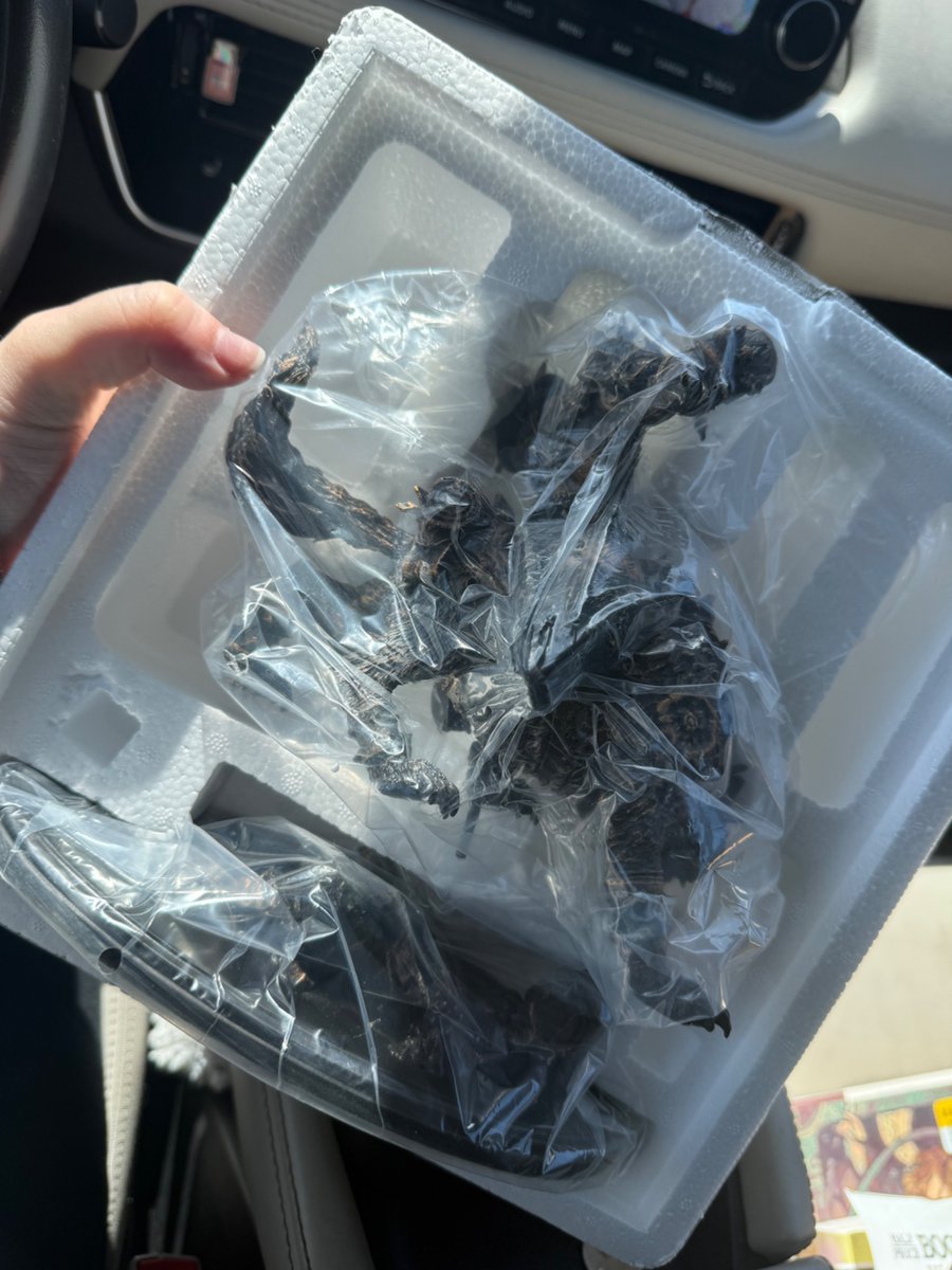 ₊˚ପ⊹ rachel *·˚ tweet media