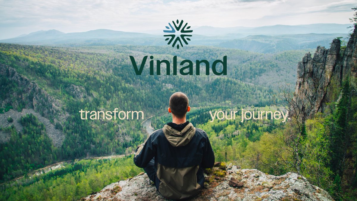 Vinland tweet media
