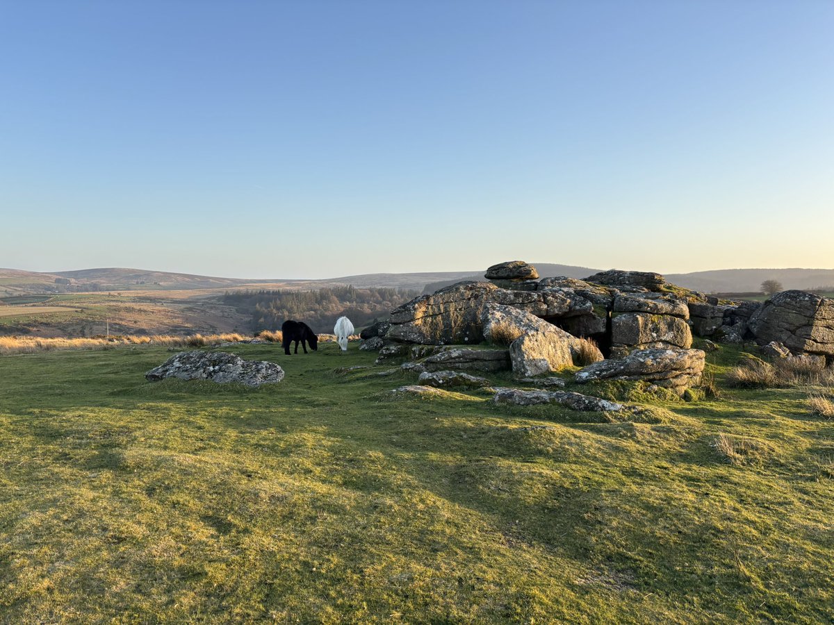 Dr Lucy Chalice Author tweet media