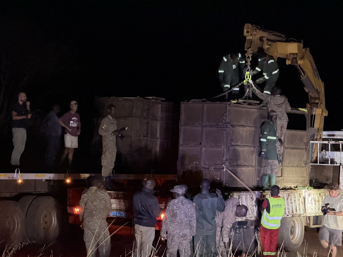 Andrew Muzito tweet media