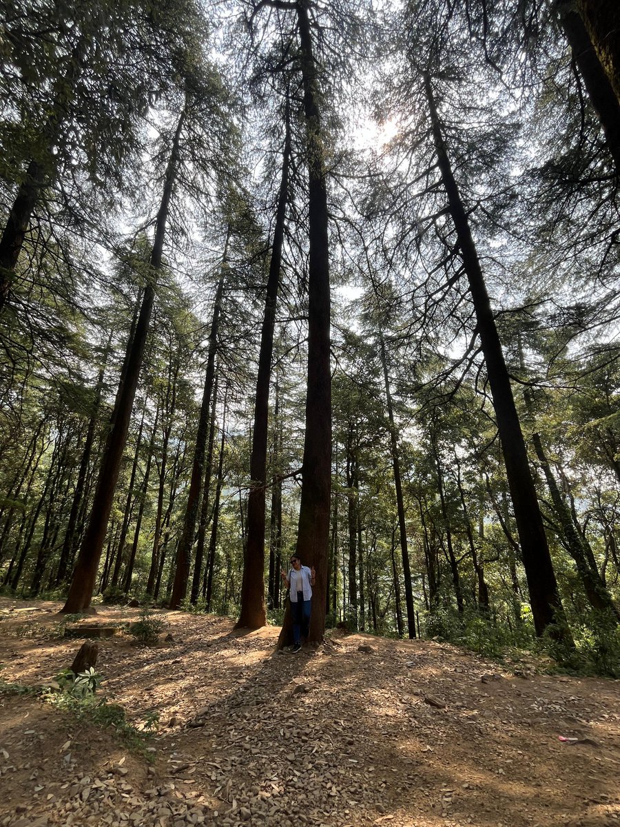 ss (aurora borealis) ☄️⭐ tweet media