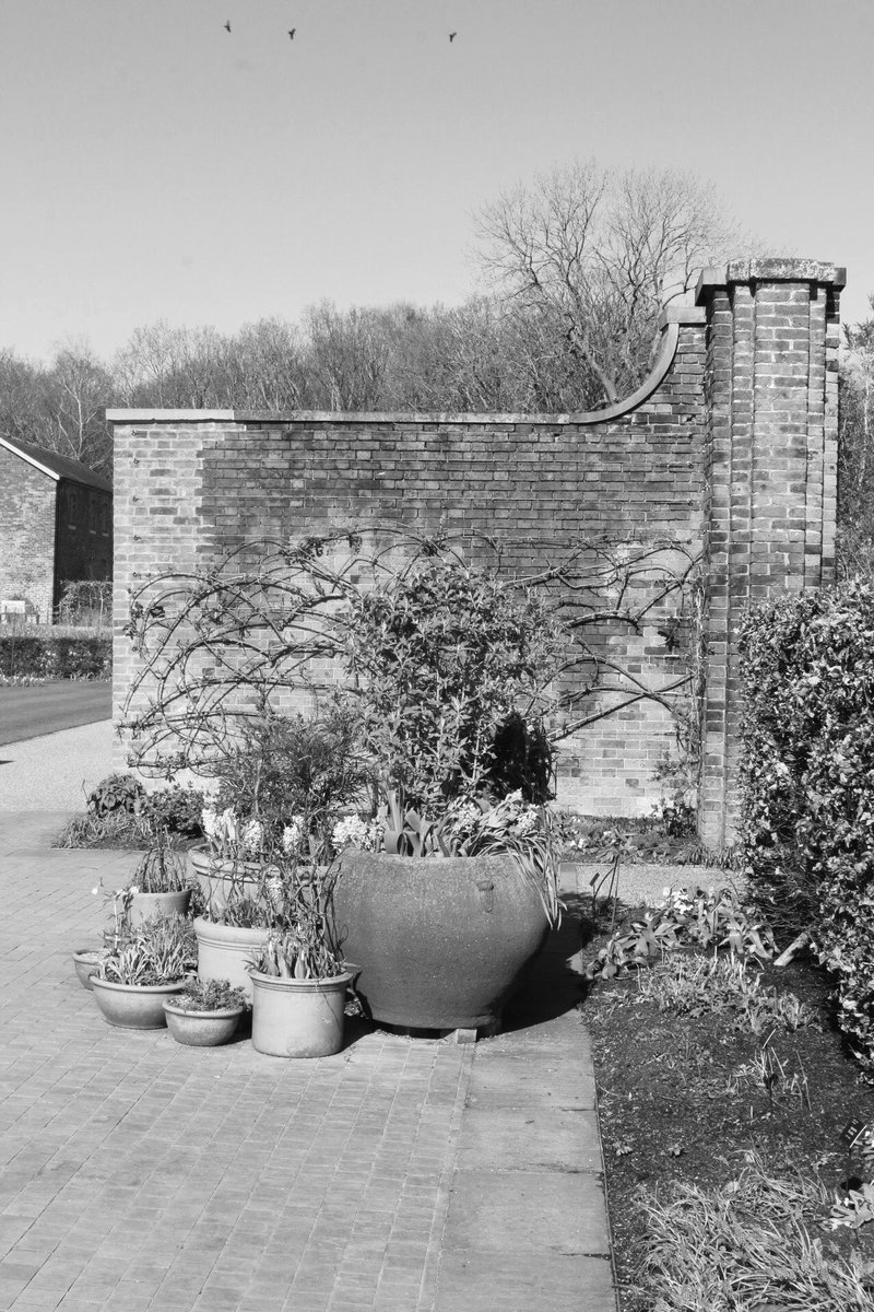 MAW Holmes tweet media