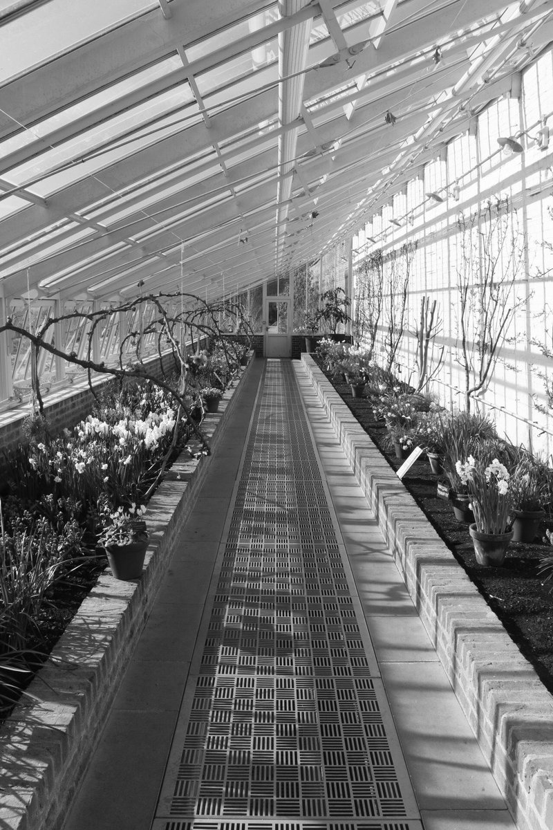 MAW Holmes tweet media