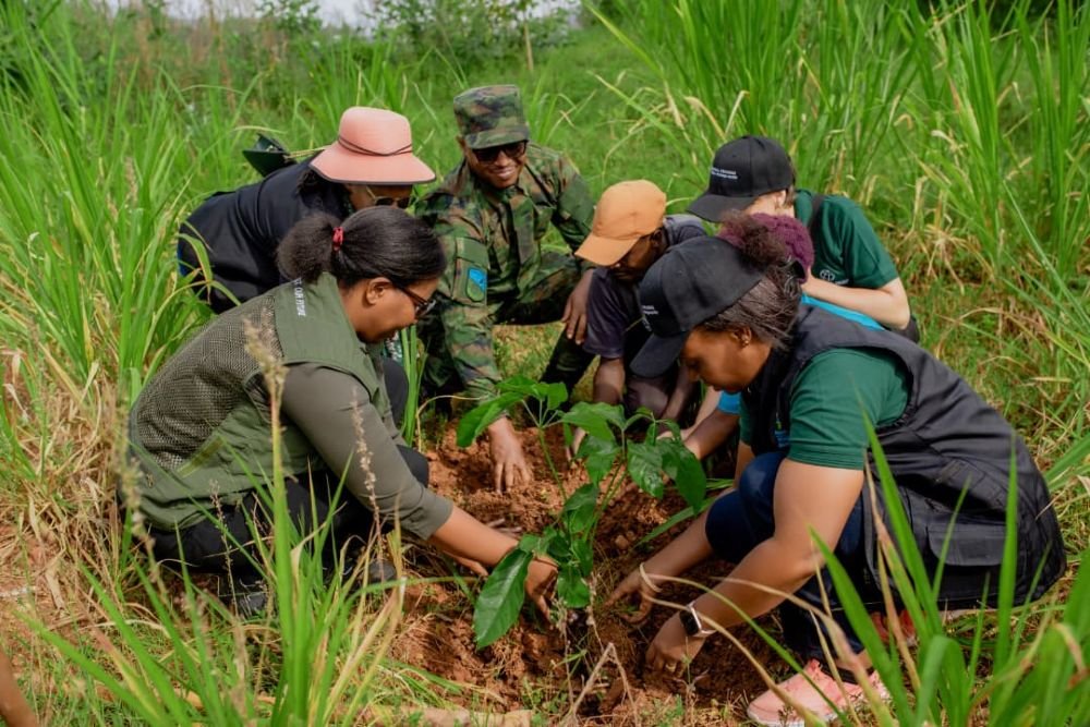 TheForeFrontMagazine tweet media