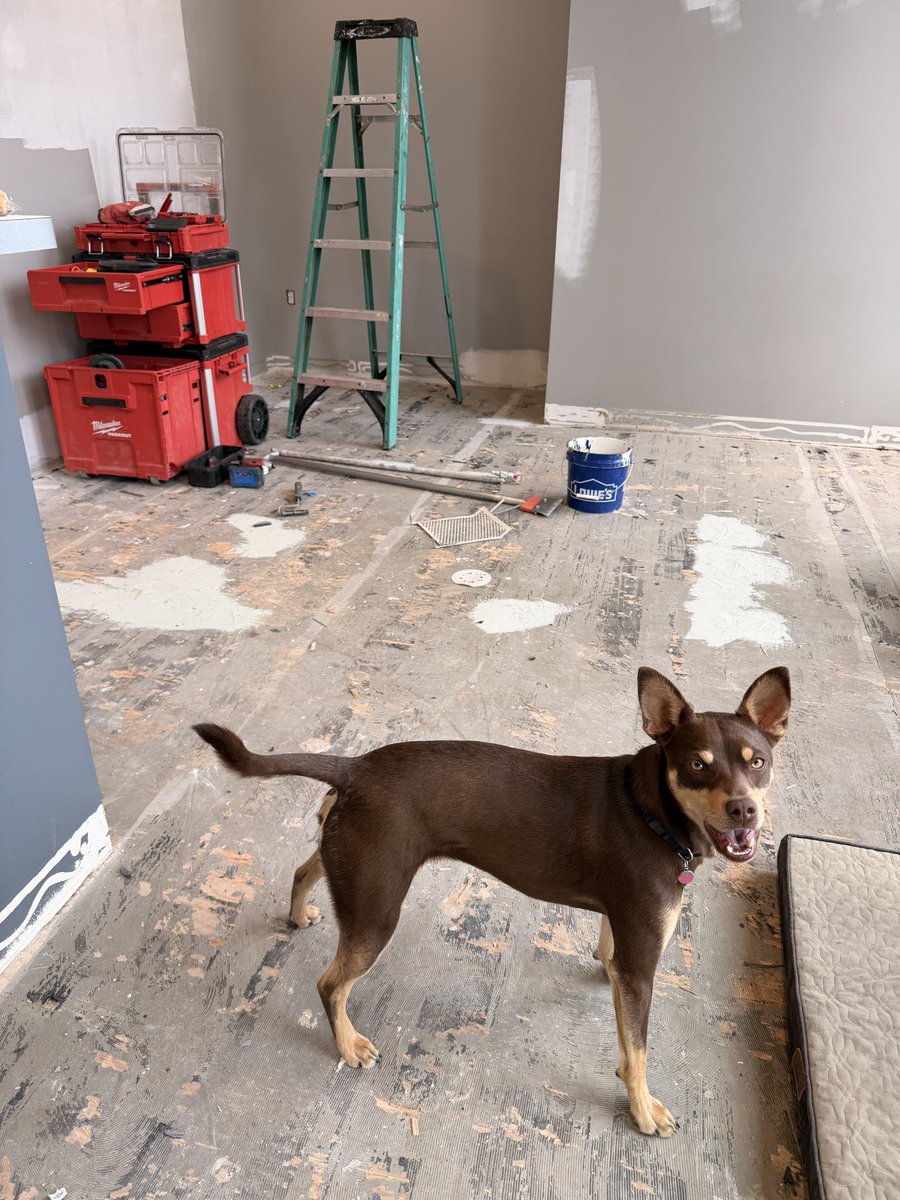 Noah Kaufman, MD tweet media