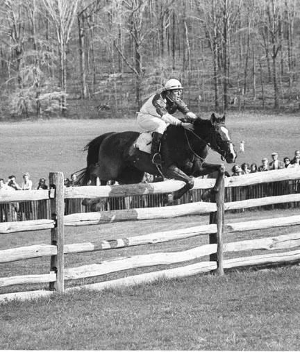 Judge Smails tweet media