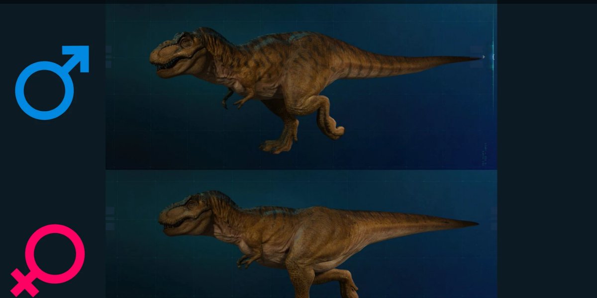 TyrannoTyr tweet media