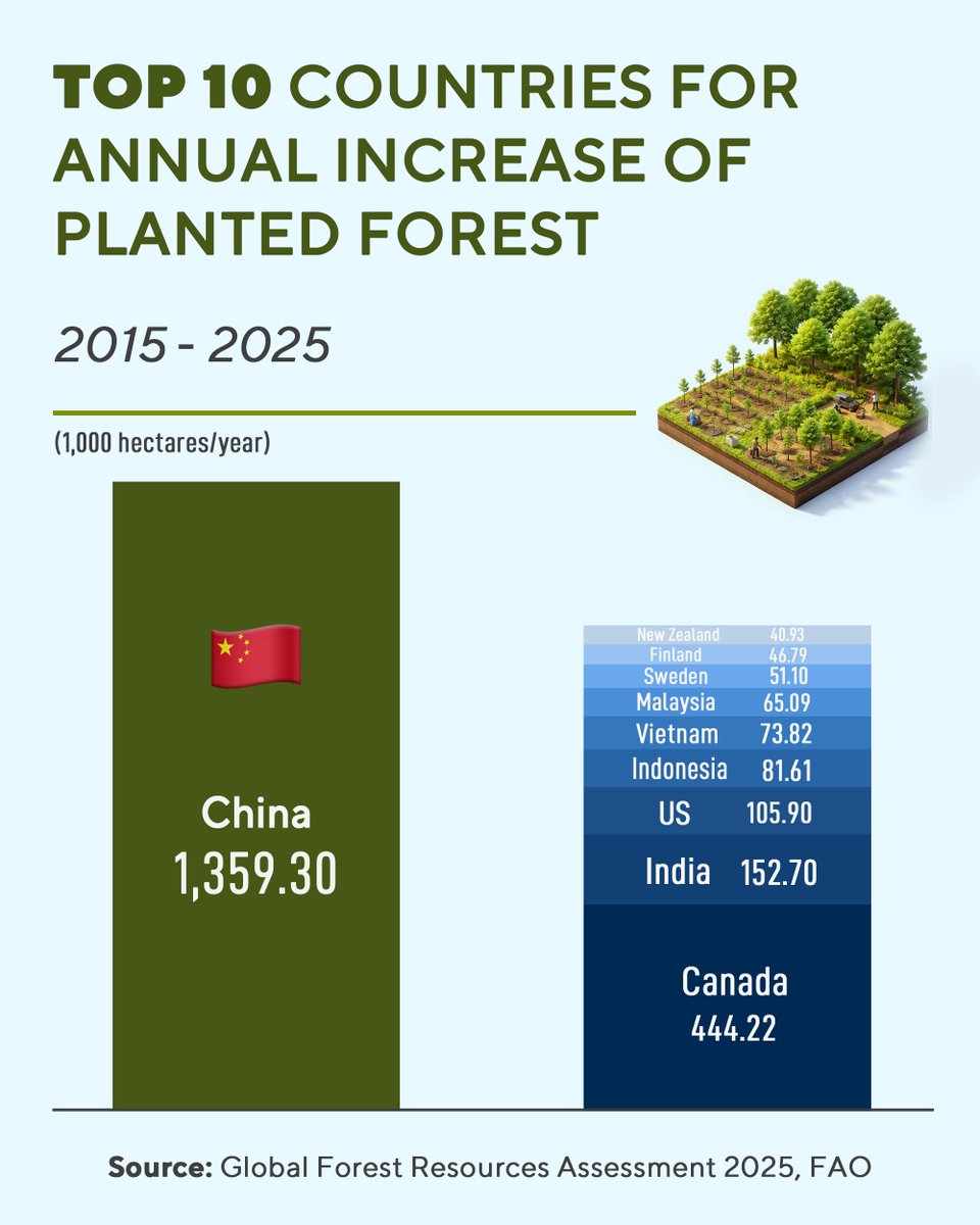 Embajada de China en Argentina tweet media