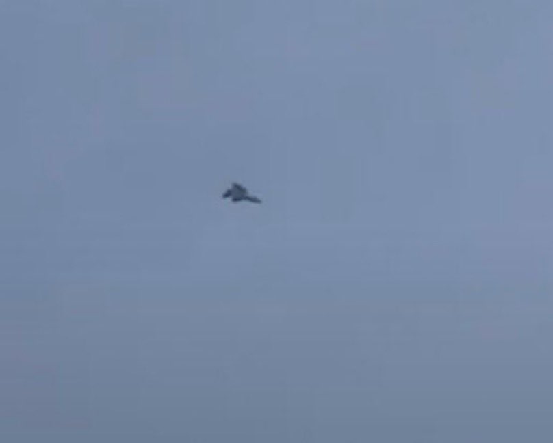 Little Think Tank tweet media