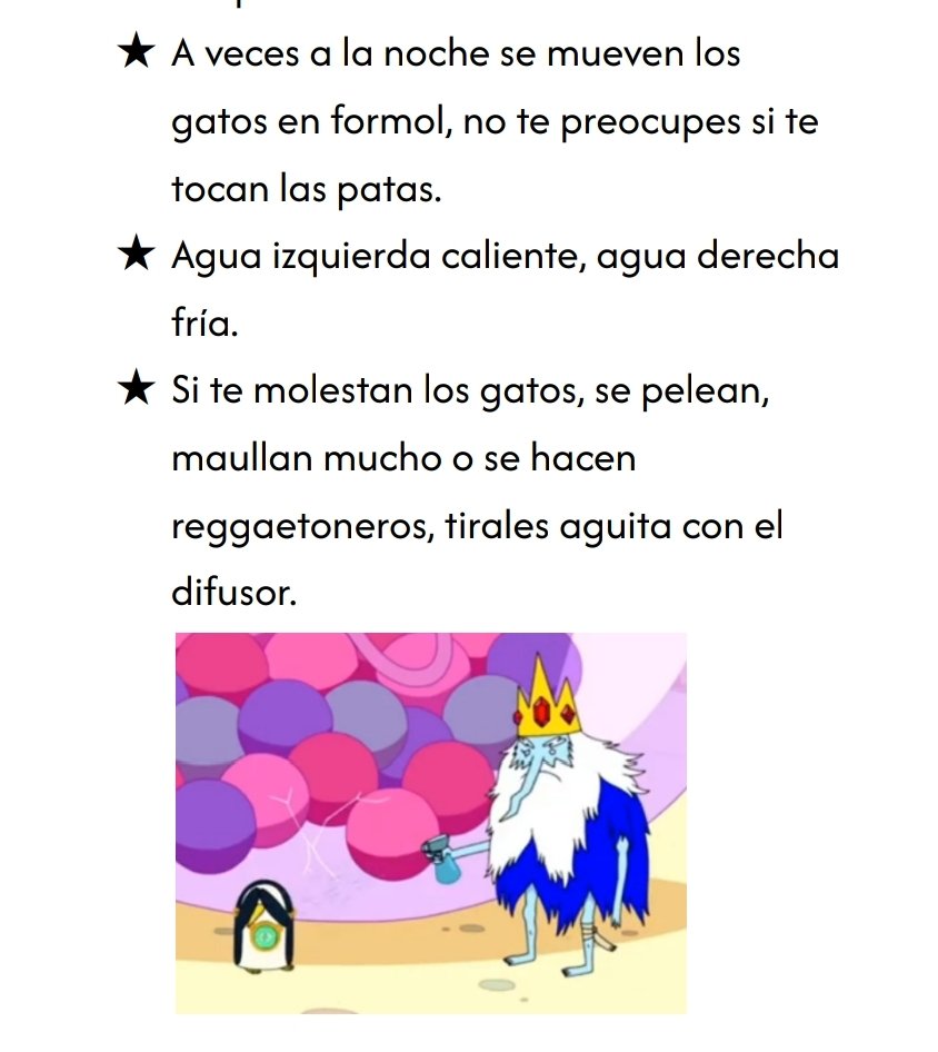 beloncitap's tweet photo. mi amigo se queda a cuidarme los gatos dos semanas porque voy a baires y le hice una guia definitiva https://t.co/gRxZjmN4Jz