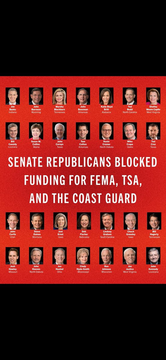 Judgedredd93 tweet media