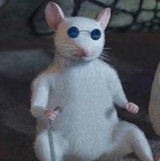 Xangerˢᶠᶜ tweet media