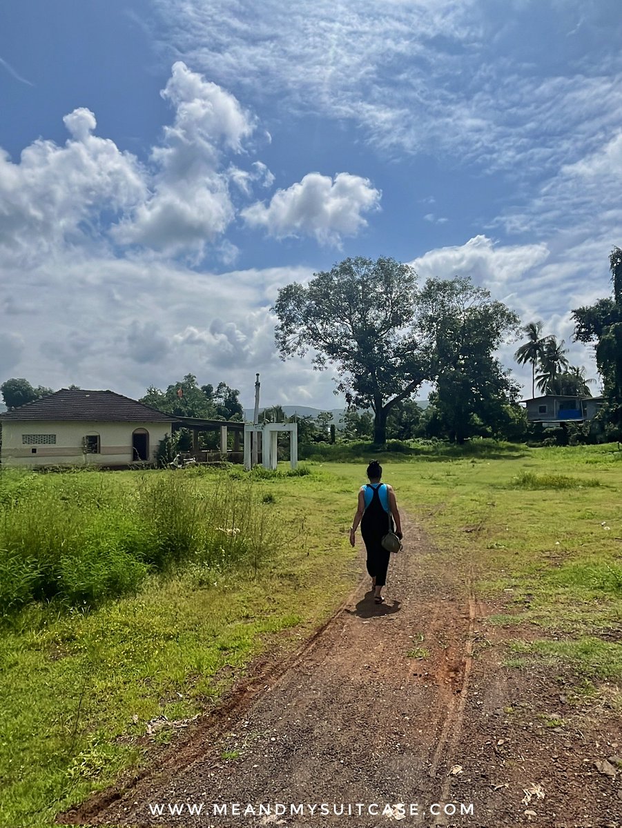 ss (aurora borealis) ☄️⭐ tweet media