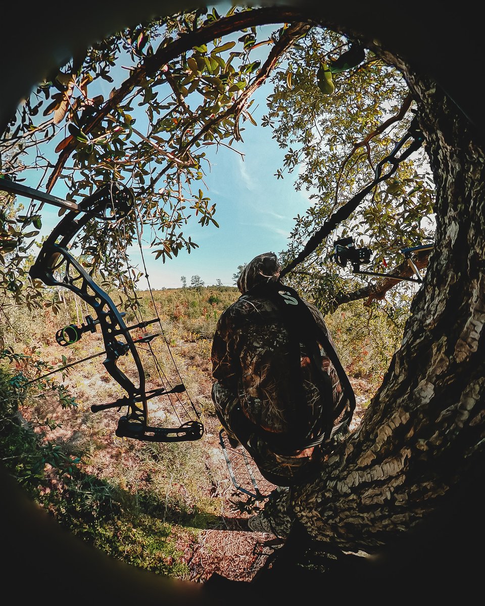 Summit Treestands tweet media