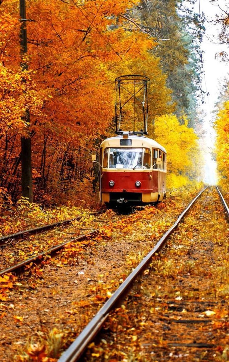 احمد🇵🇸 tweet media