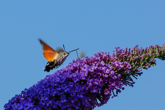 Michael Schlag tweet media