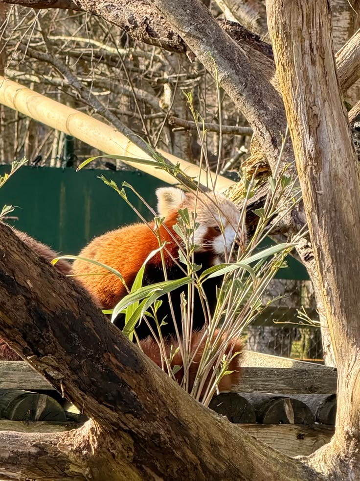 Derek Paterson tweet media