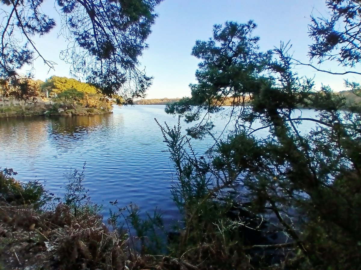 Valérie tweet media